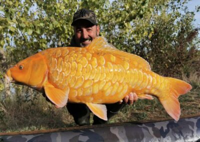 Koî Lake étang de pêche de 2ha à Rumilly-lès-Vaudes