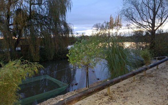 Rive aménagée de l'Oasis, étang de pêche & loisirs à Rumilly-lès-Vaudes dans l'Aube (10)