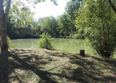 Paradise Lake, étang de pêche de 1,6ha à Rumilly-lès-Vaudes, Aube (10)