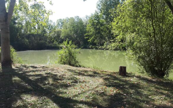 Paradise Lake, étang de pêche de 1,6ha à Rumilly-lès-Vaudes, Aube (10)