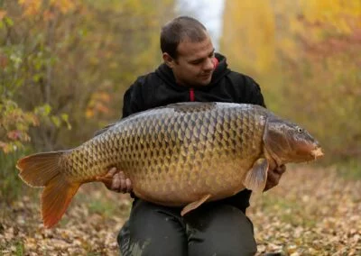 Carpes Le Domaine, étang de pêche à Rumilly-les-Vaudes