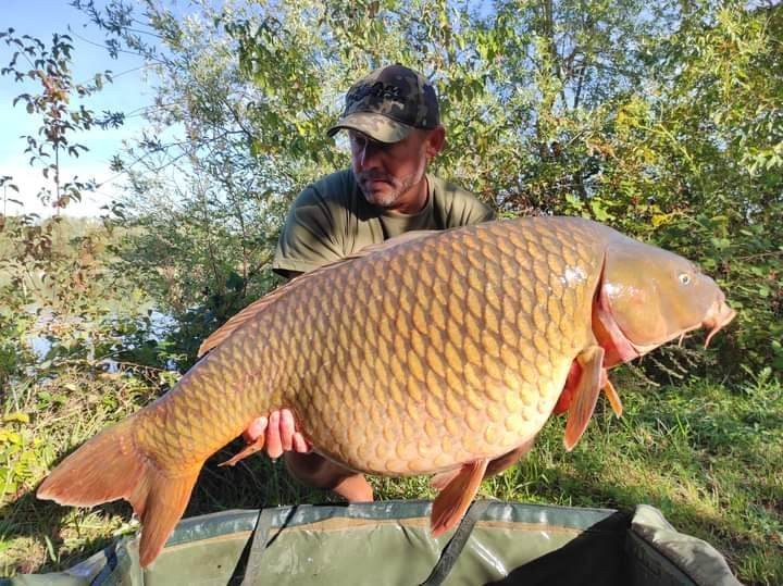 Carpes Le Domaine, étang de pêche à Rumilly-les-Vaudes