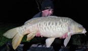 Carpes Le Domaine, étang de pêche à Rumilly-les-Vaudes