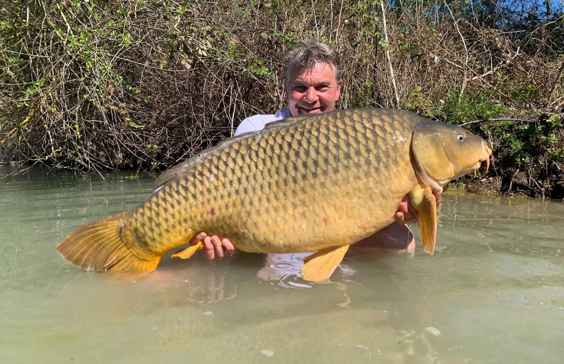 Carpes Le Domaine, étang de pêche à Rumilly-les-Vaudes