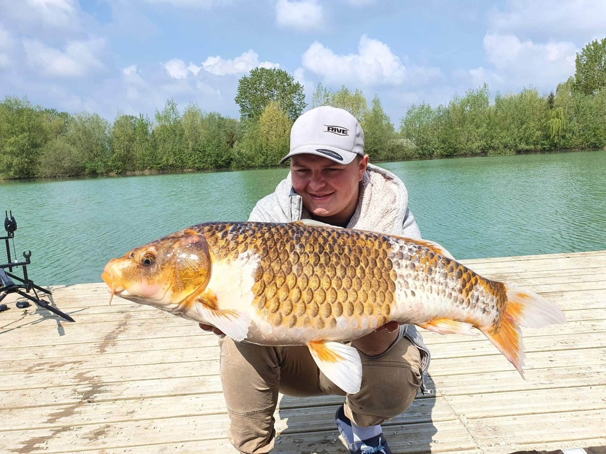 Koî Lake étang de pêche de 2ha à Rumilly-lès-Vaudes