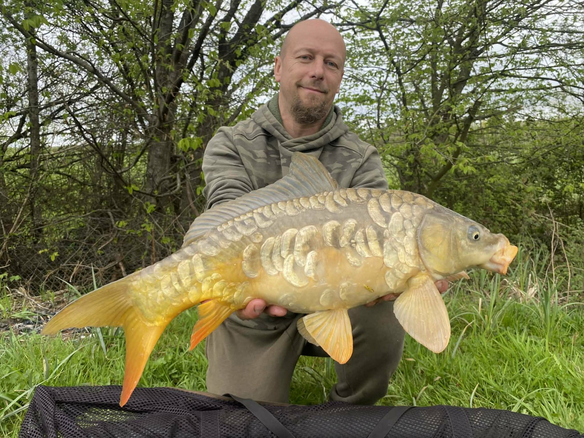 Carpe étang Domaine de Rumilly (10)