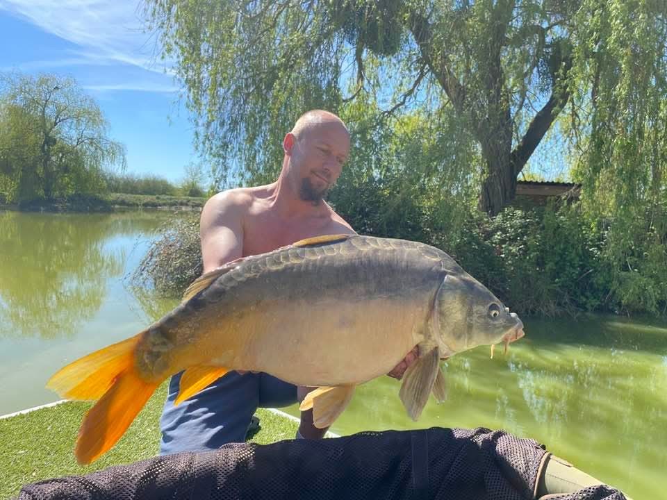 Carpe étang Domaine de Rumilly (10)