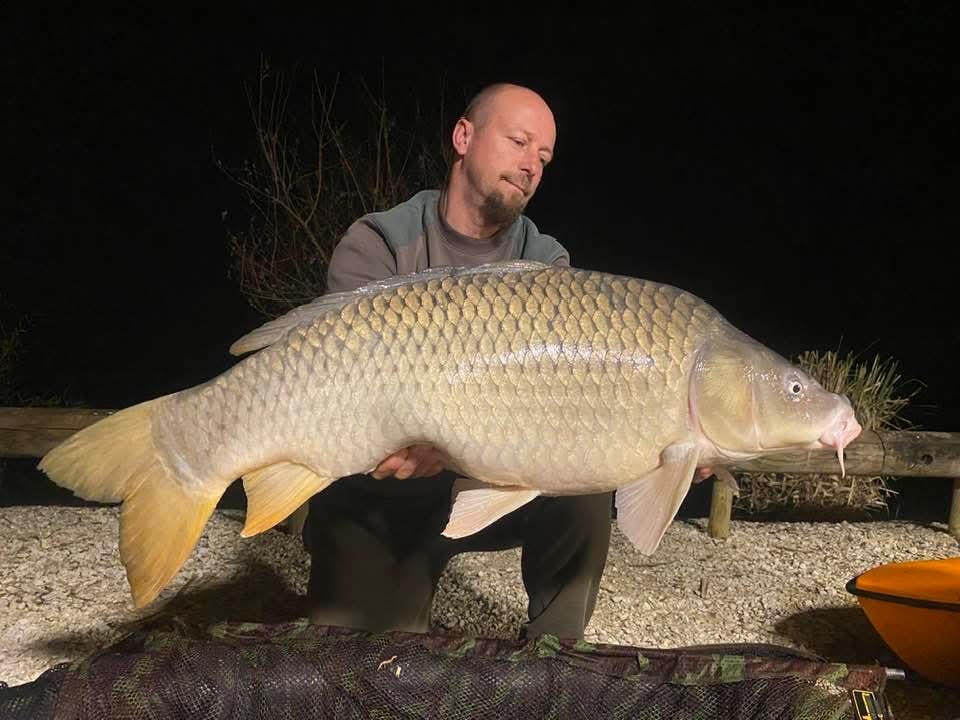 Carpe étang Domaine de Rumilly (10)