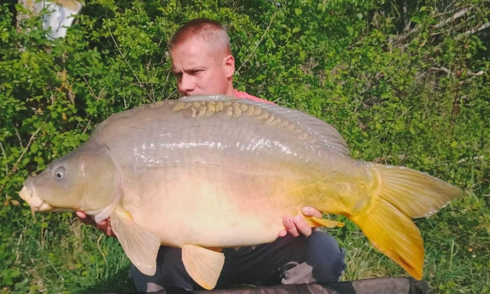 Carpe Le Domaine, étang de pêche à Rumilly-lès-Vaudes