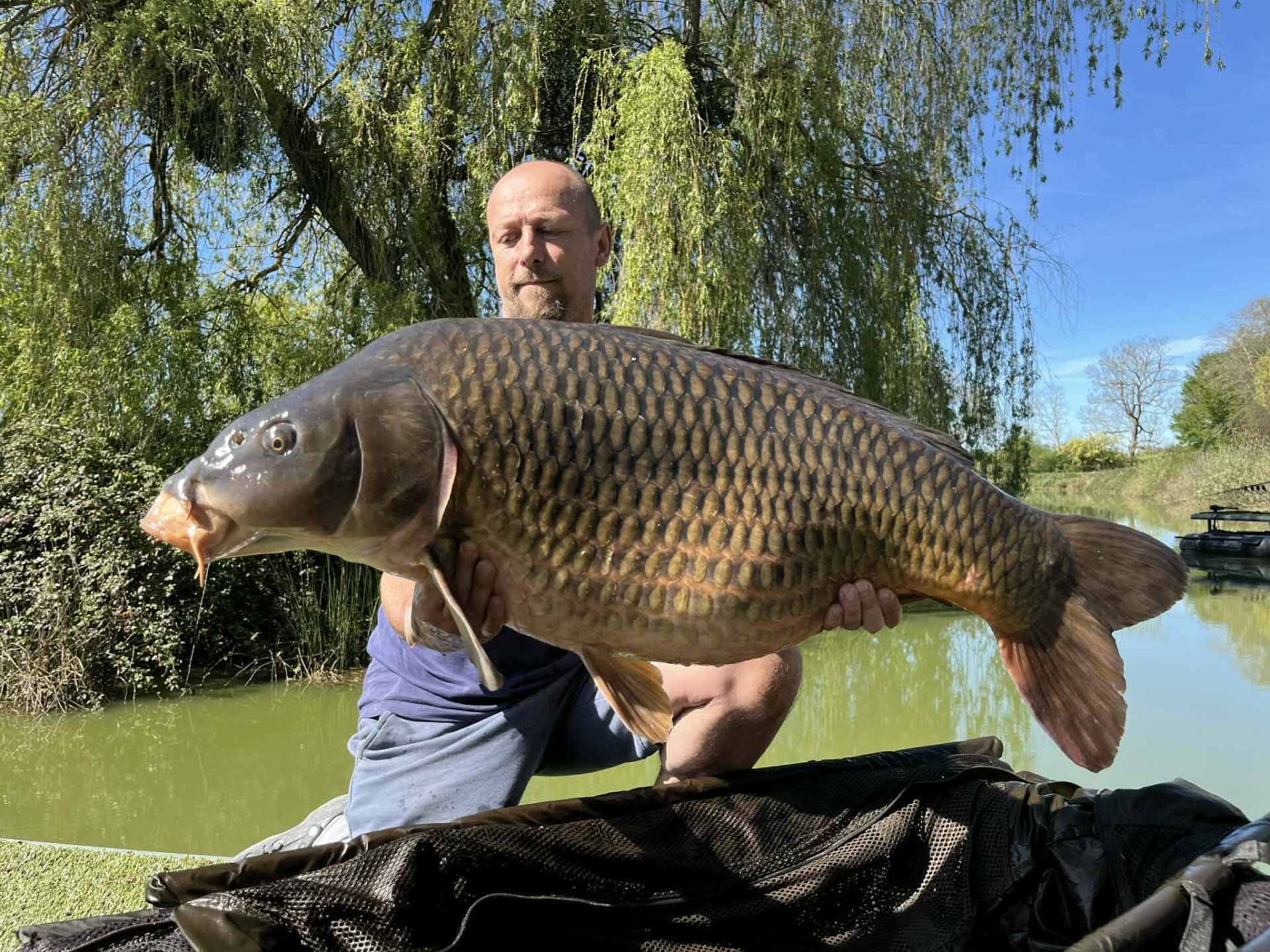 Carpe étang Domaine de Rumilly (10)