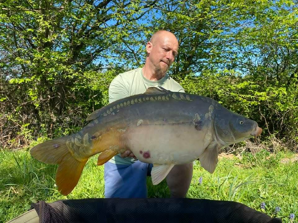 Carpe étang Domaine de Rumilly (10)