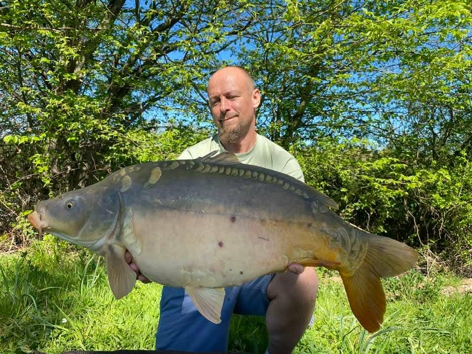 Carpe étang Domaine de Rumilly (10)