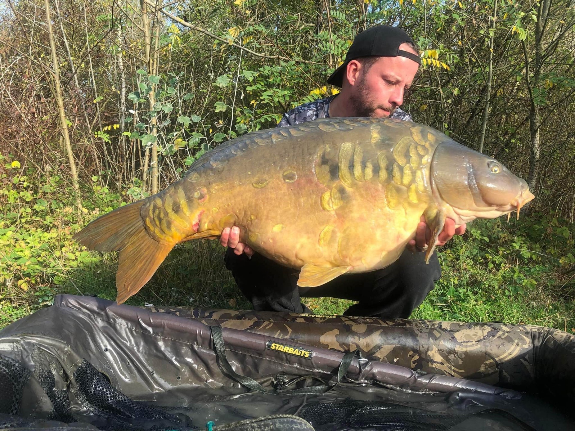 Carpe Le Domaine, étang de pêche à Rumilly-lès-Vaudes