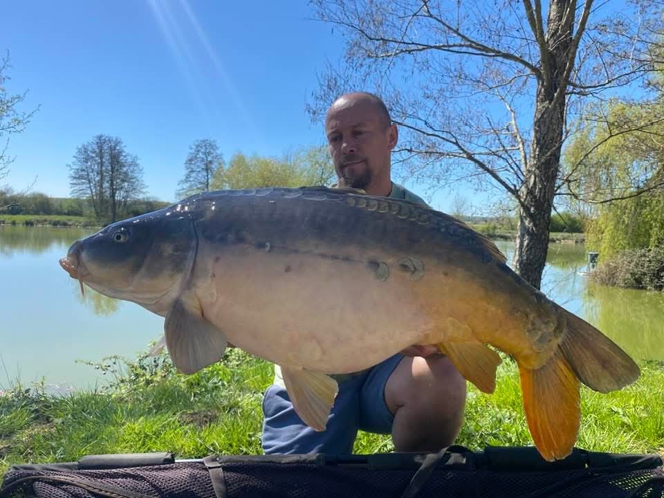 Carpe étang Domaine de Rumilly (10)