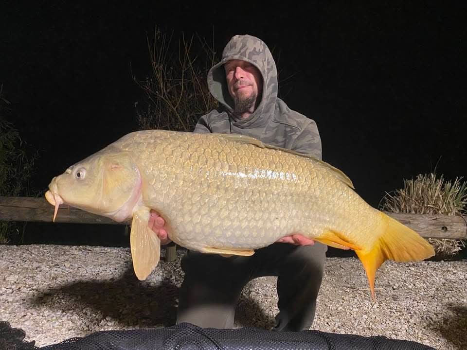 Carpe étang Domaine de Rumilly (10)