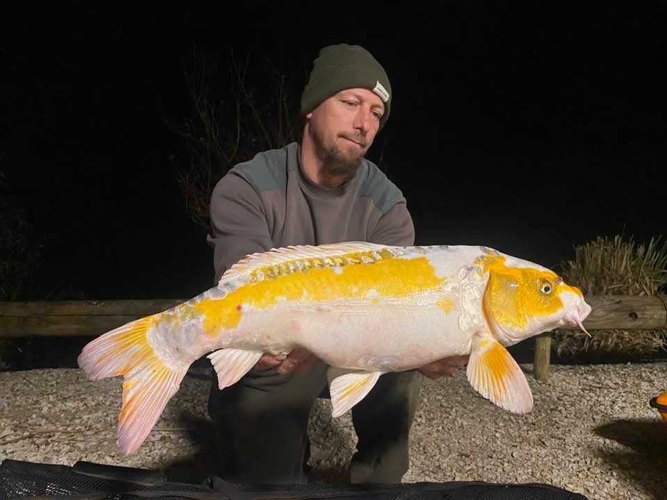 Carpe étang Domaine de Rumilly (10)