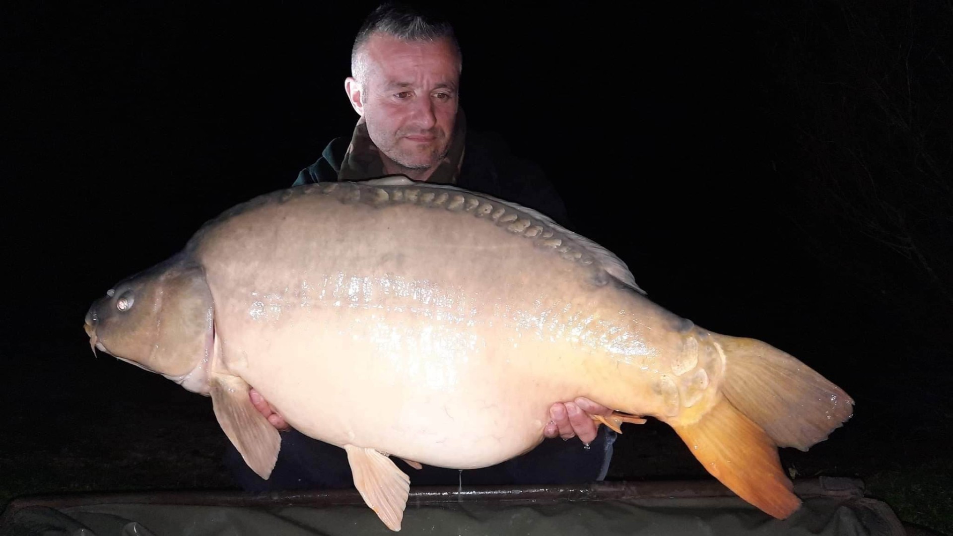 Carpes Le Domaine, étang de pêche à Rumilly-les-Vaudes