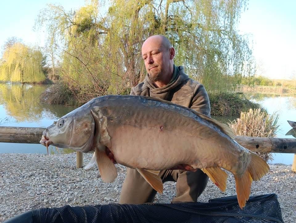 Carpe étang Domaine de Rumilly (10)