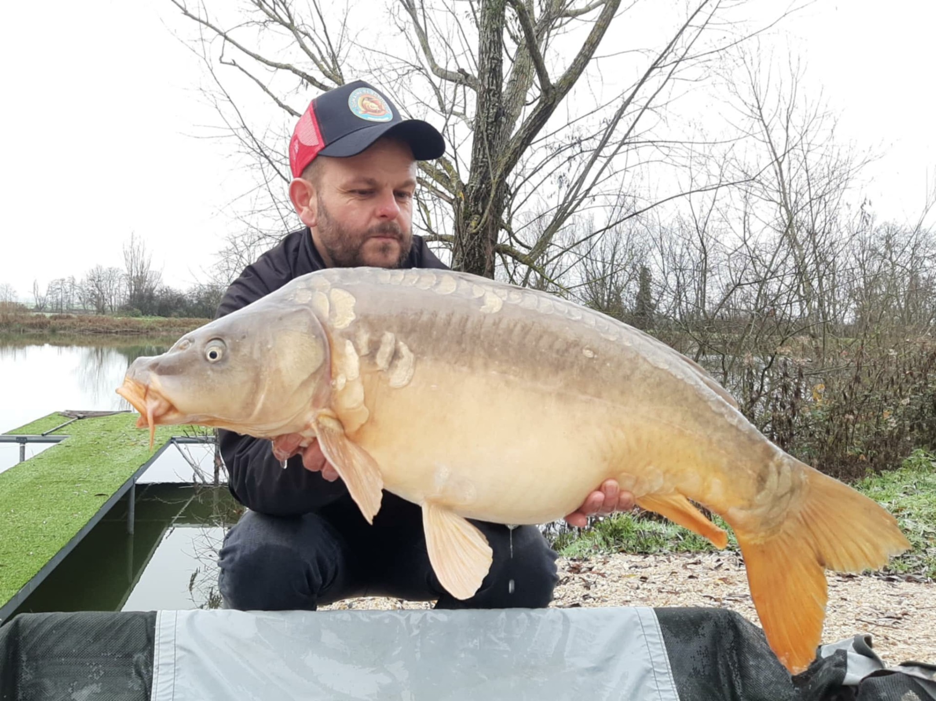 l'Oasis, étang de pêche à 2 pas des lacs de la Forêt d'Orient dans l'Aube (10)