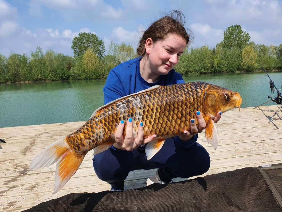 Koî Lake étang de pêche de 2ha à Rumilly-lès-Vaudes