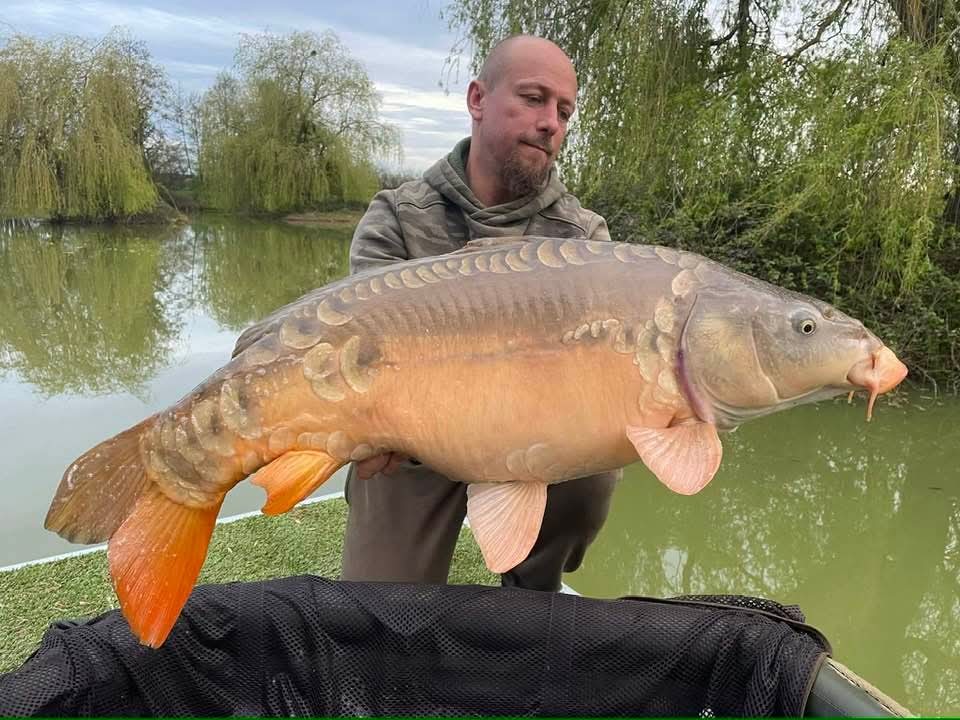 Carpe étang Domaine de Rumilly (10)