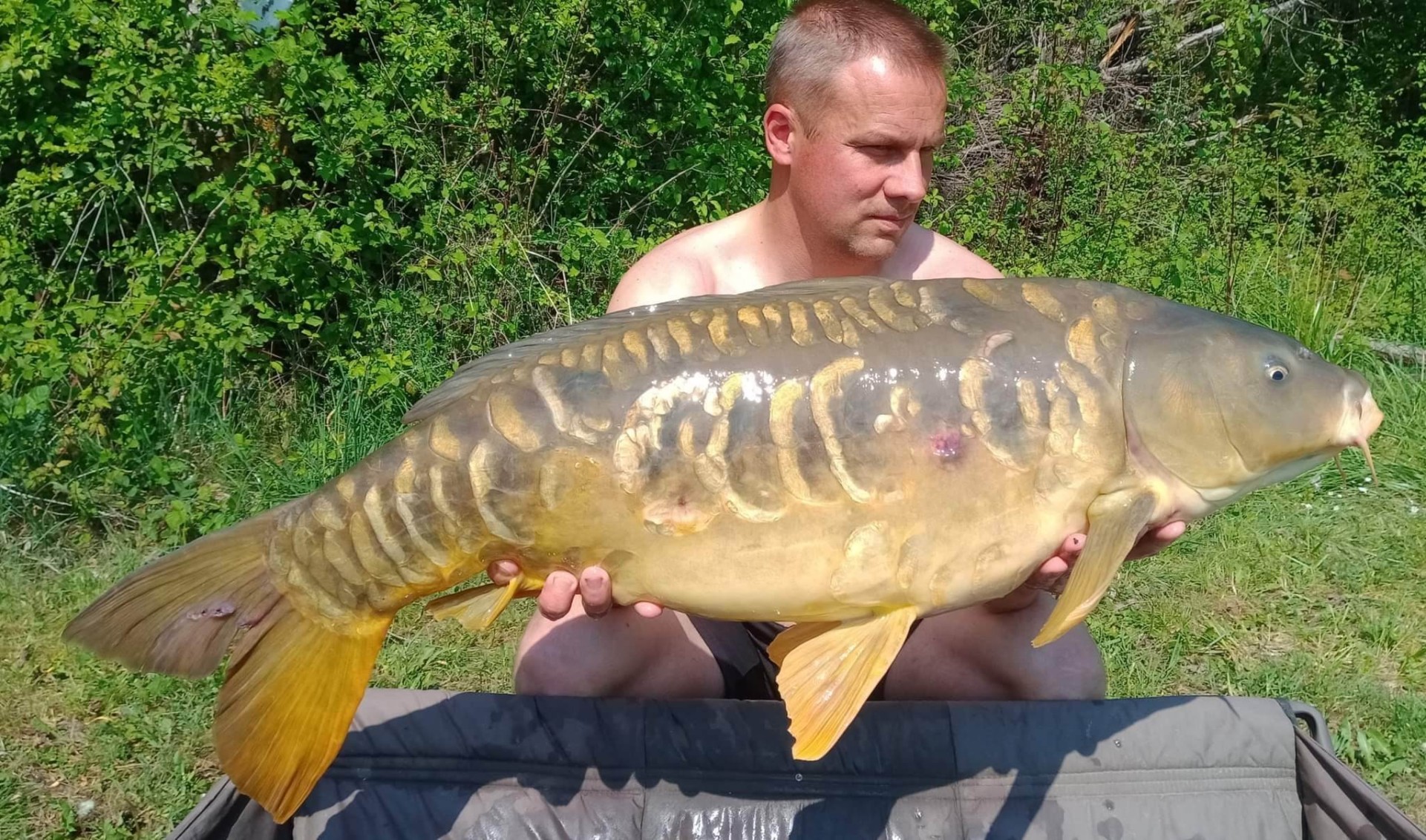 Carpes Le Domaine, étang de pêche à Rumilly-les-Vaudes