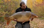 Carpes Le Domaine, étang de pêche à Rumilly-les-Vaudes