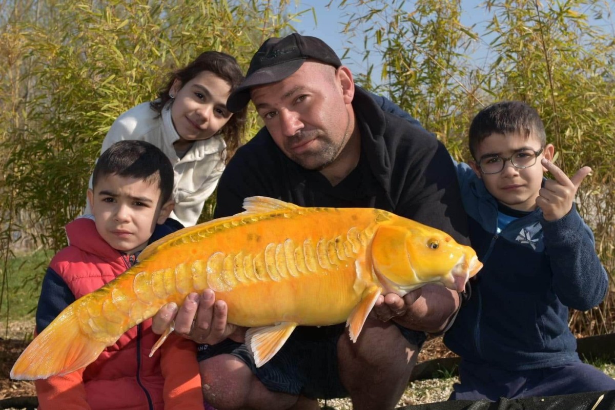 Koî Lake étang de pêche de 2ha à Rumilly-lès-Vaudes