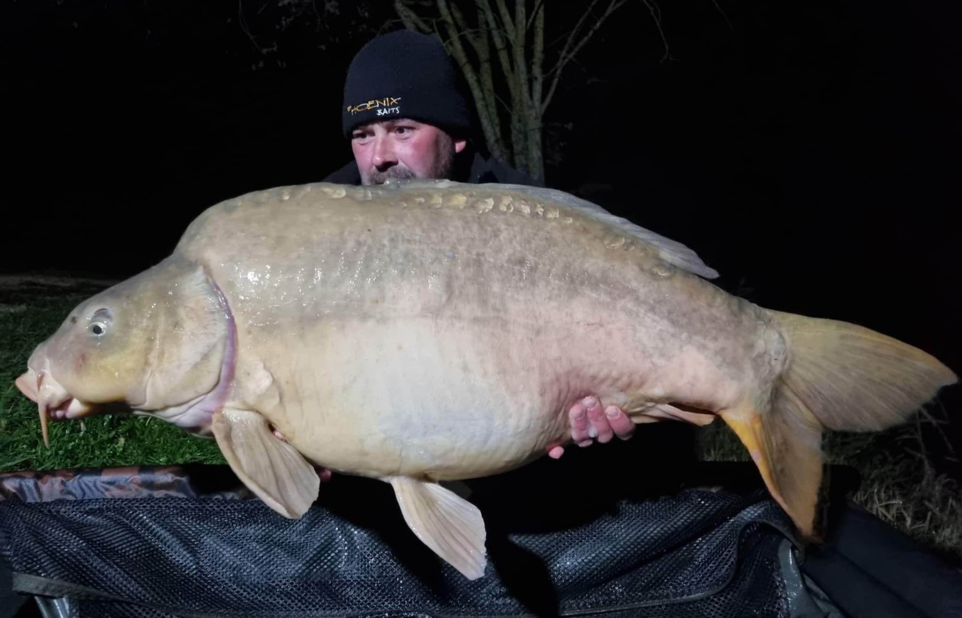 Carpes Le Domaine, étang de pêche à Rumilly-les-Vaudes