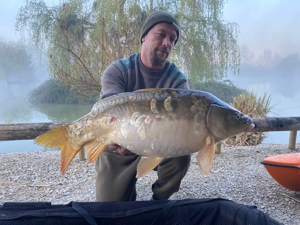 Carpe étang Domaine de Rumilly (10)