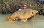 Carpes Le Domaine, étang de pêche à Rumilly-les-Vaudes