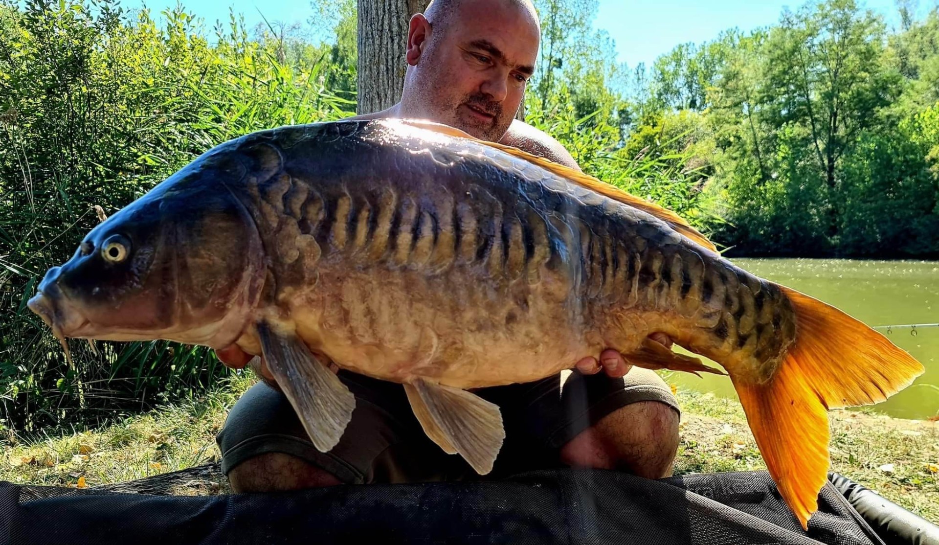 Paradise Lake, étang de pêche de 1,6ha à Rumilly-lès-Vaudes, Aube (10)