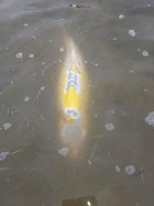 Carpe à l'Oasis, étang de pêche & loisirs à Rumilly-lès-Vaudes dans l'Aube (10)